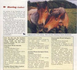 Horse Logging Articles